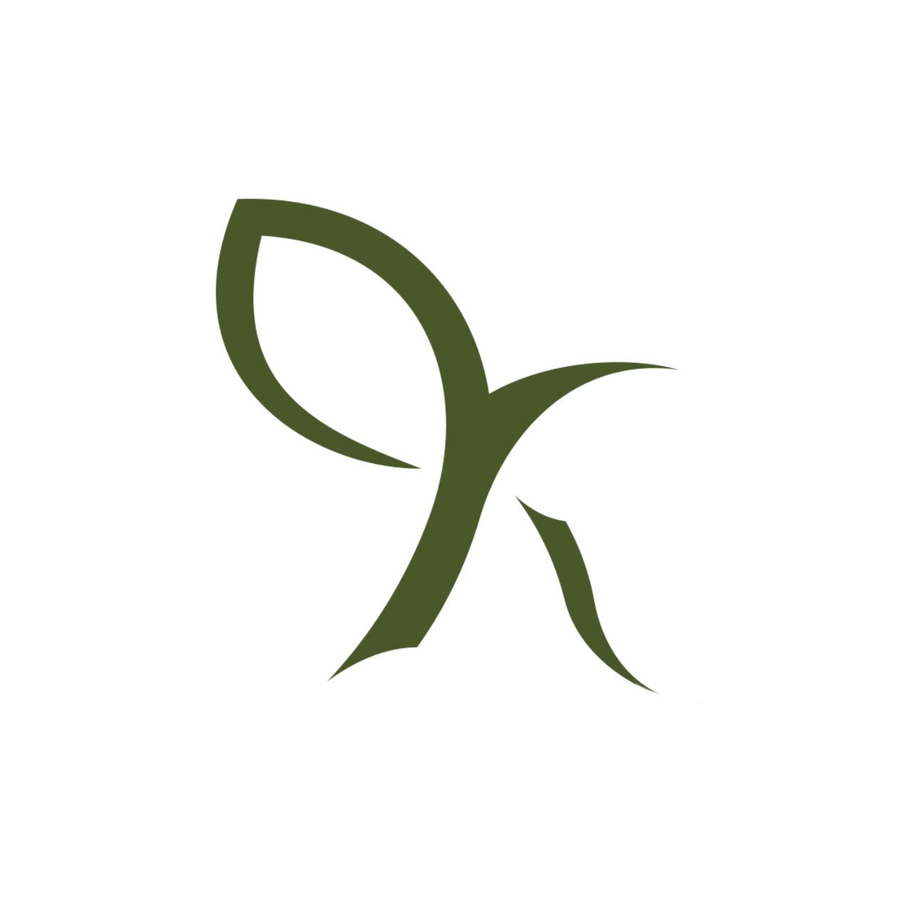 Image 2025 12 14 071428658