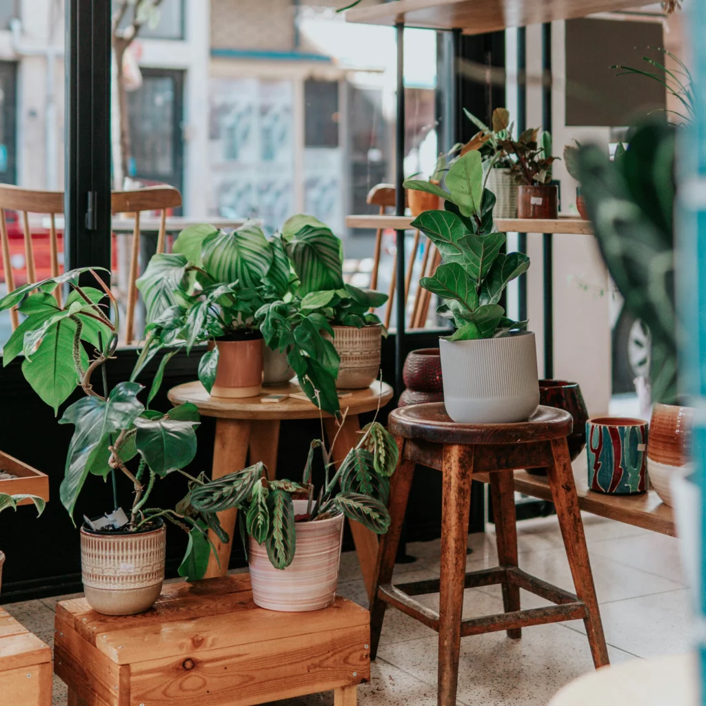 Ceyda ciftci ddvu6d 6t80 unsplash